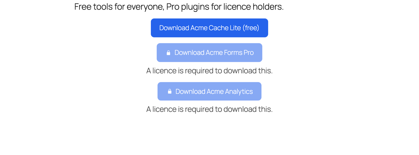 Hoster 1.4.0: protected downloads, licence-bound updates and a faster release flow